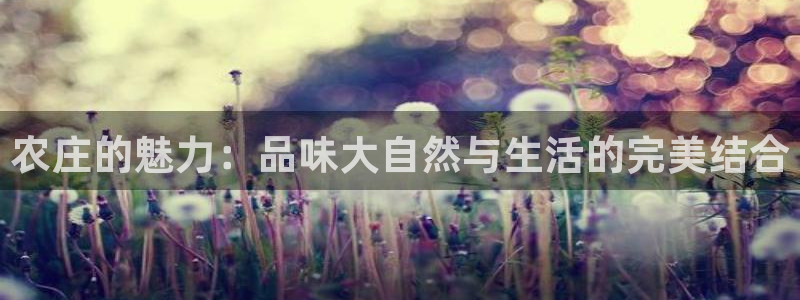 武汉摩根众睿娱乐