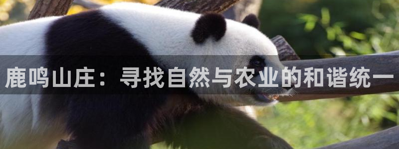 泉州摩根娱乐会所