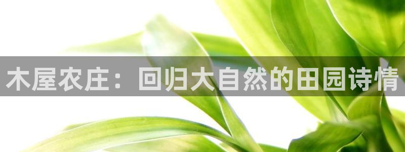 摩根360娱乐