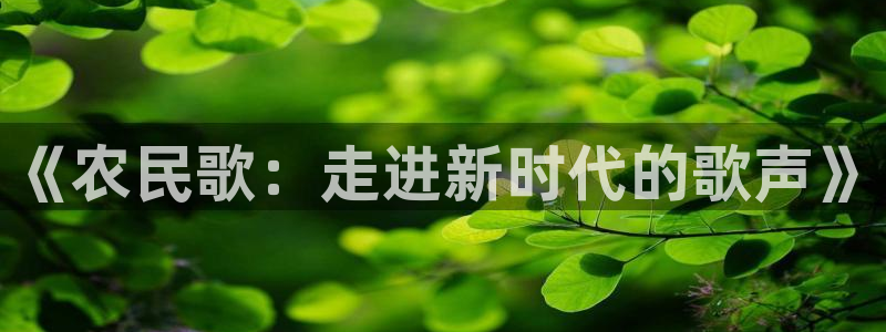 摩根娱乐1老o板50820