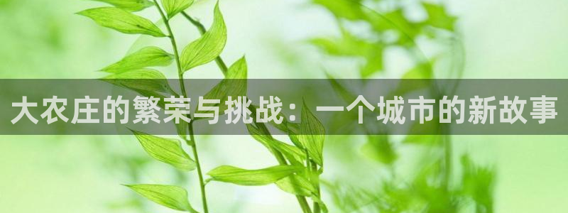 摩根娱乐挂机项目怎么样
