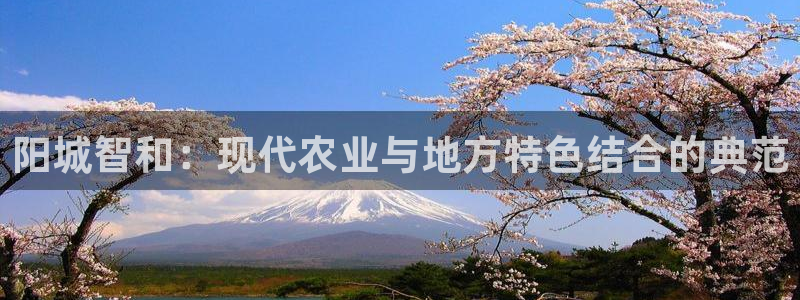 摩根娱乐视频大全