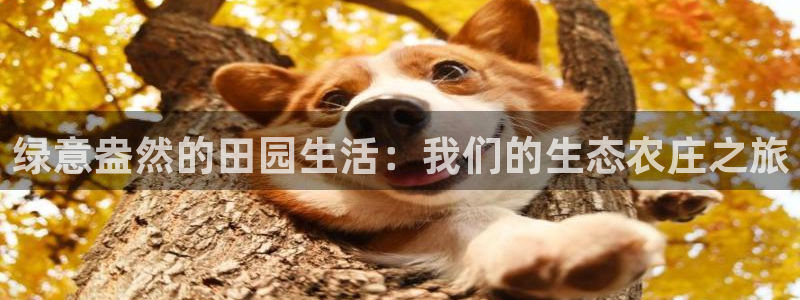 摩根娱乐宝软件下载