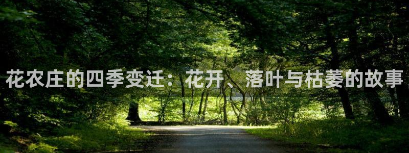 摩根娱乐宝总部招商