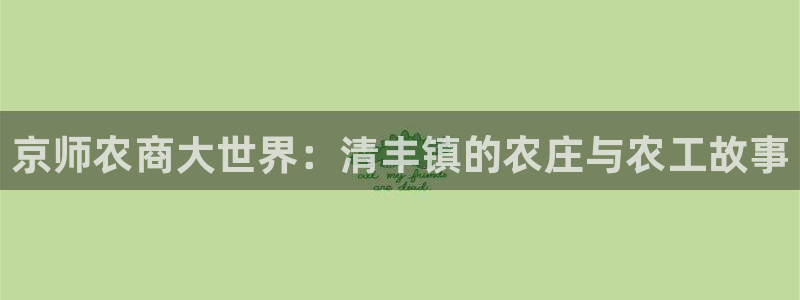 摩根娱乐宝k线图