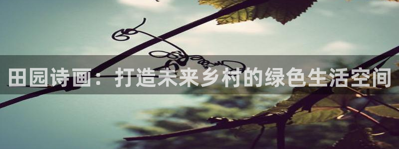 摩根国际娱乐宝在哪里