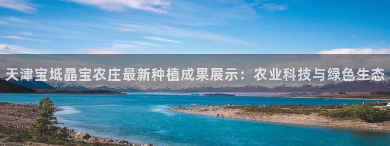 摩根娱乐宝k线图