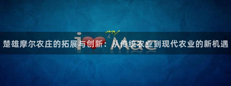 华视娱乐 摩根 王琛