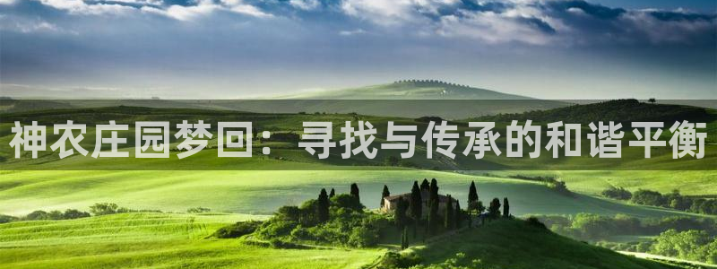 摩根会娱乐会所