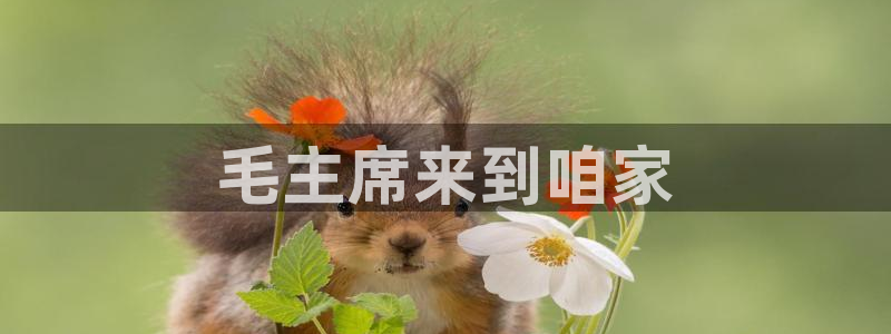 摩根娱乐和摩根国际