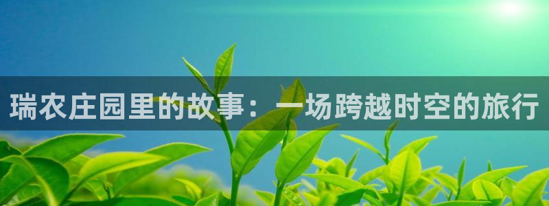 摩根娱乐宝怎么玩