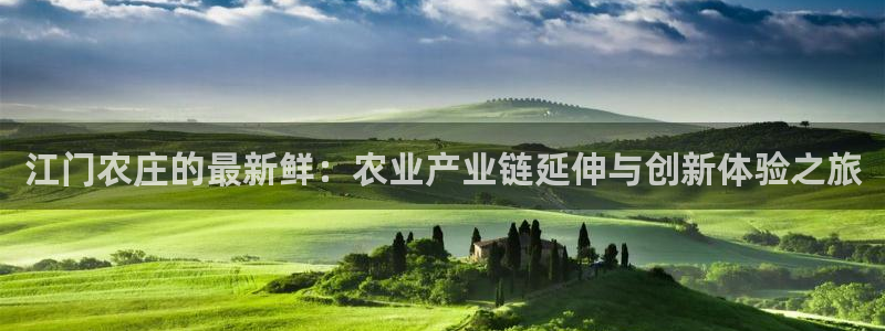 摩根娱乐宝是什么东西