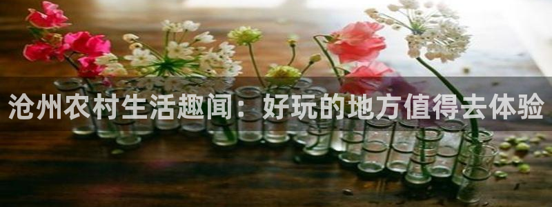 摩根娱乐是骗局吗