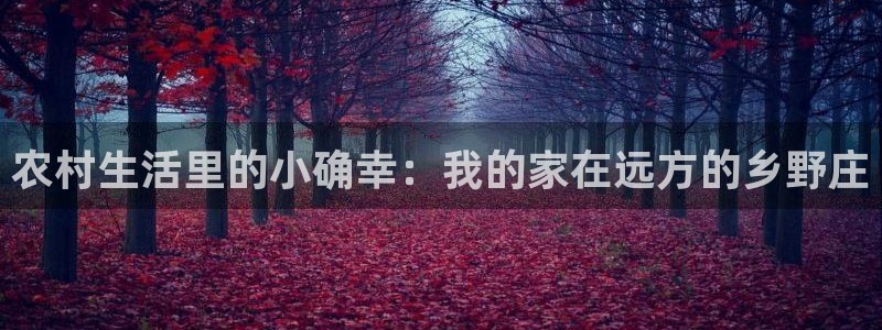 摩根娱乐L老L板50820