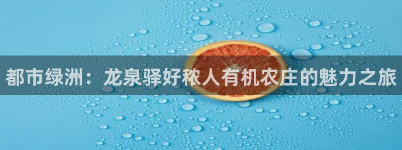 主角是摩根家族的娱乐文