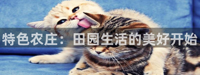 摩根娱乐宝登陆网址