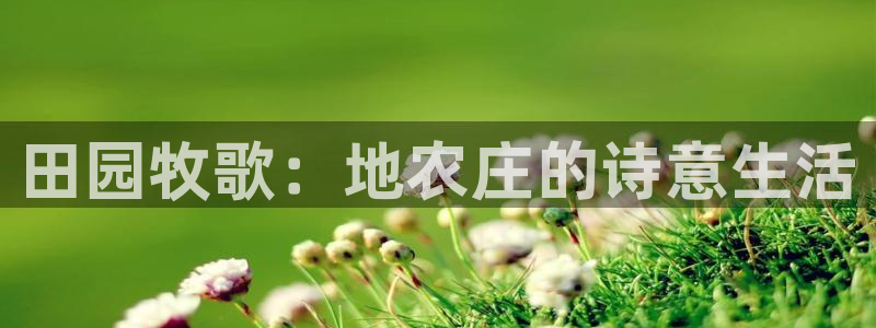 义乌摩根娱乐消费多少