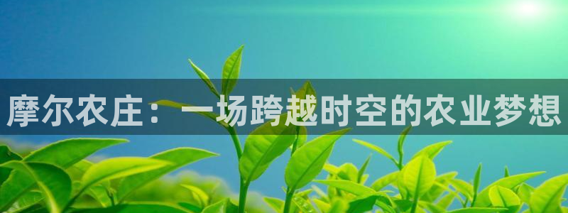 摩根娱乐挂机项目