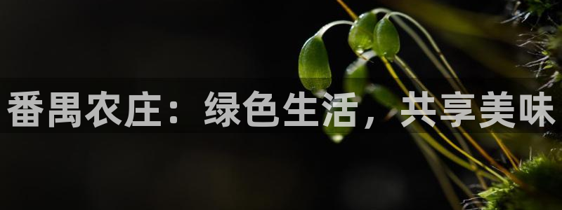 摩根娱乐宝骗了我