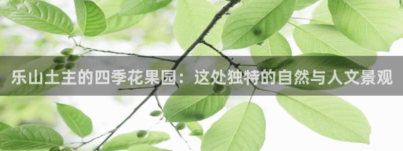 摩根 娱乐宝诈骗