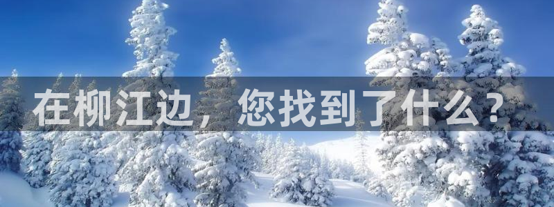 摩根娱乐登录入口网站