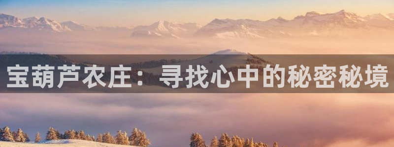 奥飞娱乐摩根调研