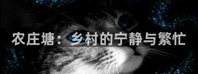 摩根国际娱乐