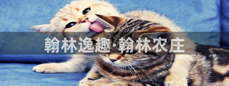 下载摩根娱乐宝