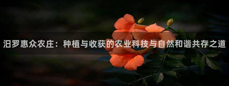 泉州摩根娱乐会所电话多少