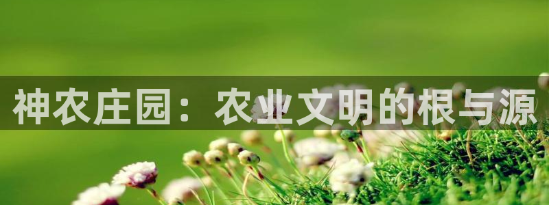 摩根娱乐宝官网下载