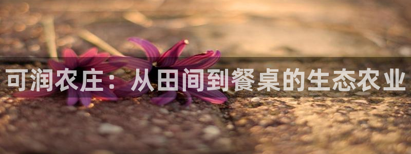 泉州摩根娱乐会所电话号码