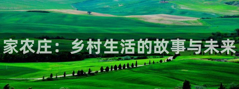 娱乐解说摩根