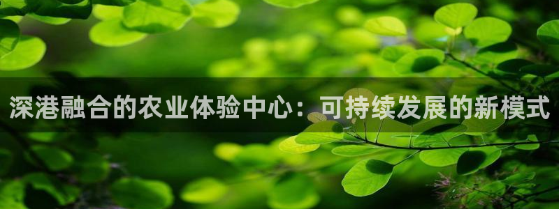 嘉兴摩根大饭店 娱乐