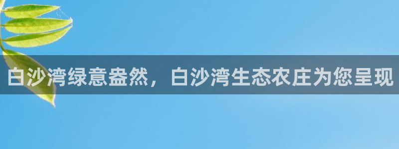 摩根娱乐创始人