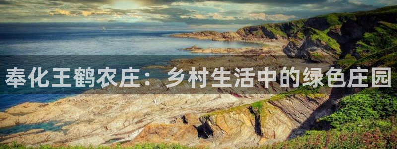 摩根娱乐dj