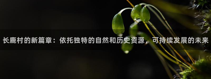 摩根娱乐宝怎么样