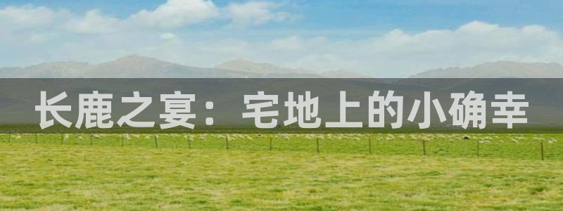 摩根娱乐挂机项目有哪些