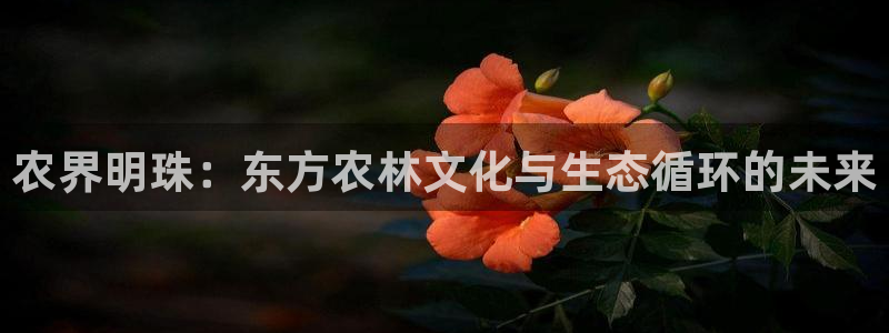摩根娱乐是什么