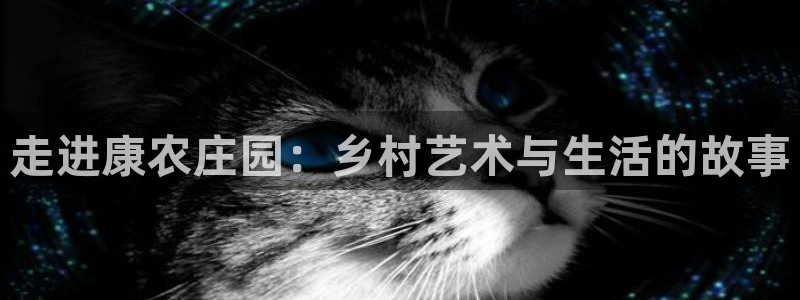 摩根娱乐宝可靠不