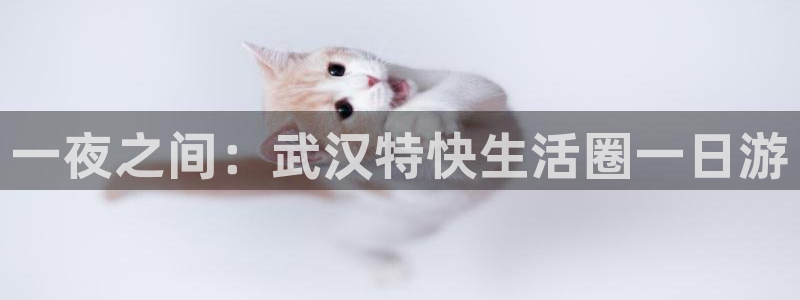 摩根娱乐套路