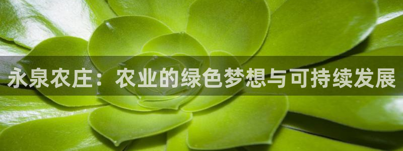 摩根娱乐宝官网百度