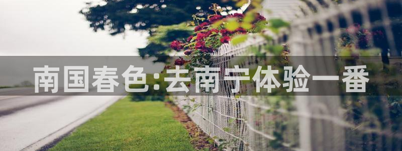 摩根娱乐宝app