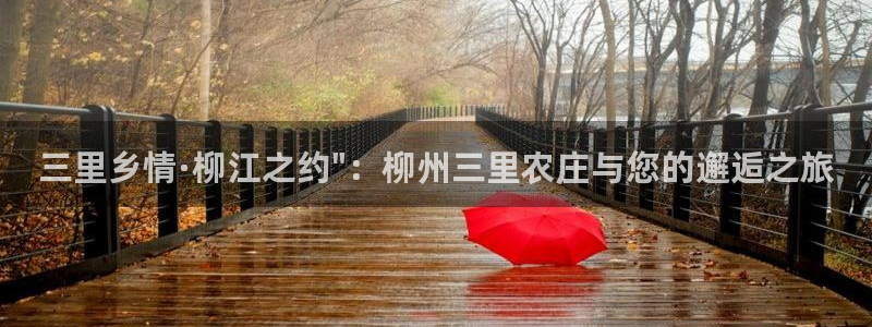 摩根大通王者娱乐