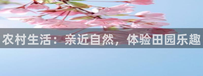泉州摩根娱乐会所怎么样