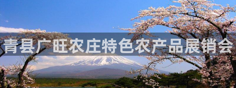 摩根娱乐宝app