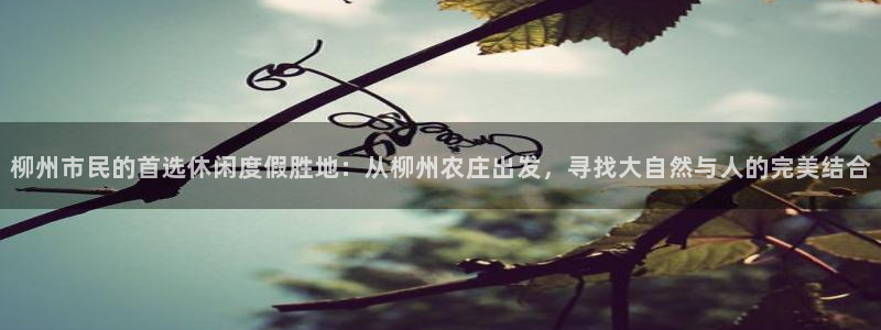 摩根娱乐_ c招a商77130