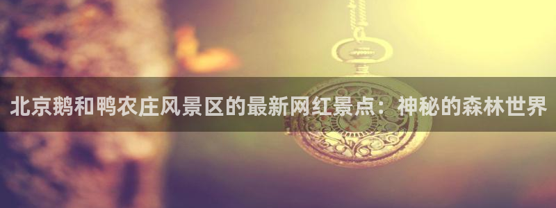 摩根士丹利娱乐