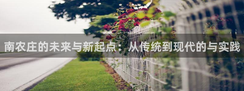 主角是摩根家族的娱乐文