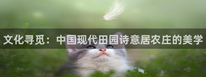 白宫摩根会娱乐会所