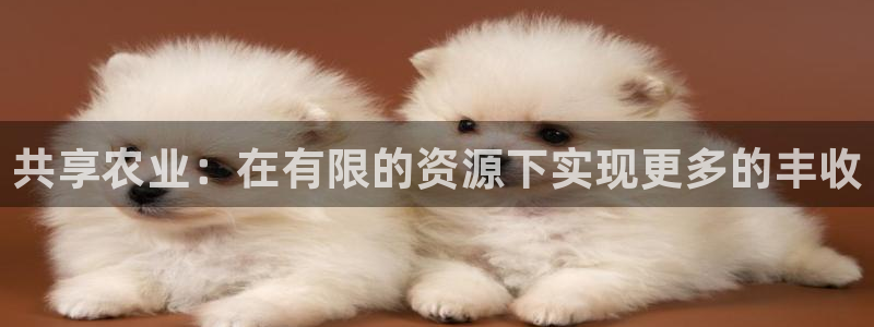 摩根娱乐宝与